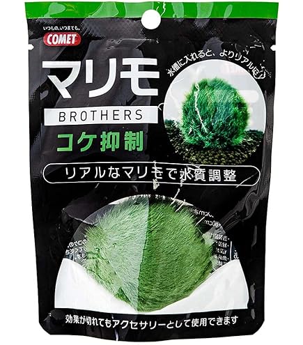 Amazon.co.jp: コメット マリモブラザーズ バクテリアマリモ