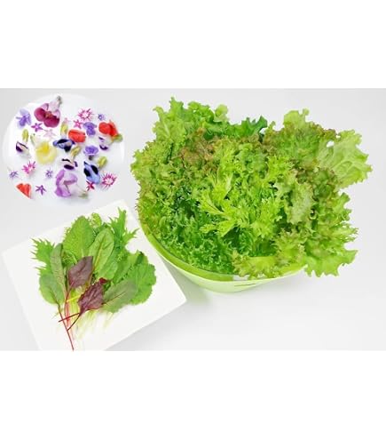 Amazon.co.jp: 無農薬 常備野菜5種詰め合わせ 野菜 高級 サラダ Amazon.co.jp: 無農薬 常備野菜5種詰め合わせ 野菜 高級 サラダ