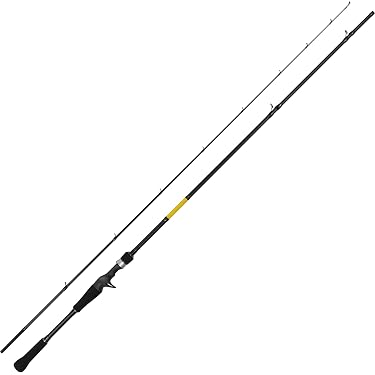 ダイワ 船竿2本セット シーパワーT2 岬 HX IL Amazon.co.jp 最新リリース: 船竿 の新着ランキングです。