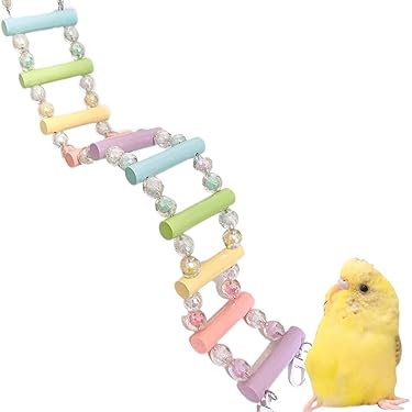 Amazon.co.jp 売れ筋ランキング: 鳥用ブランコ の中で最も人気の