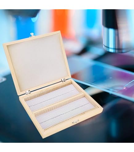 Amazon.co.jp: ゼインアーツ TOAD TABLE SLIDE BOX スライド