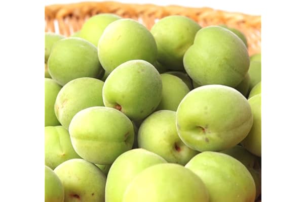 一部予約販売中 青梅 和歌山県産 南高梅 野菜ソムリエ監修 等級赤秀 サイズ L 3l 1 8kg Glm Co Il