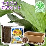 オオバコ栽培セット(種・土・プランター・プレート・鉢底石)ブラウン リクガメ用 説明書付き 家庭菜園