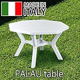 PALAU（パラオ）テーブル