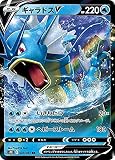 ポケモンカードゲーム S7R 020/067 ギャラドスV 水 (RR ダブルレア) 拡張パック 蒼空ストリーム
