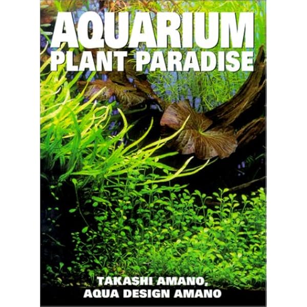 Nature Aquarium Complete Works 1985-2009 : Amano, Takashi, Abe