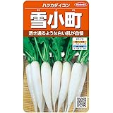 サカタのタネ 実咲野菜5373 雪小町 ハツカダイコン 00925373