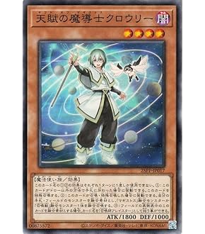 遊戯王 - 聖魔の乙女アルテミス クォーターセンチュリーシークレットレア Amazon.co.jp: 遊戯王カード 聖魔の乙女アルテミス(シークレット