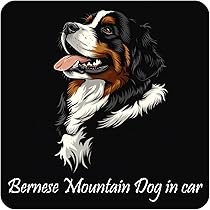 Amazon.co.jp: シール ステッカー sticker イラスト付 Dog in Car 