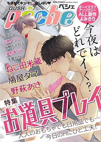 GUSHpeche 特集お道具