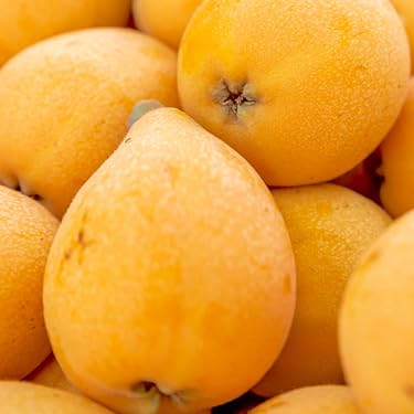 Amazon.co.jp 売れ筋ランキング: びわ の中で最も人気のある商品です