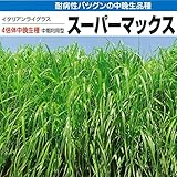 牧草種子：イタリアン スーパーマックス 1kg[飼料用イタリアンライグラス タネ 秋まき] ノーブランド品