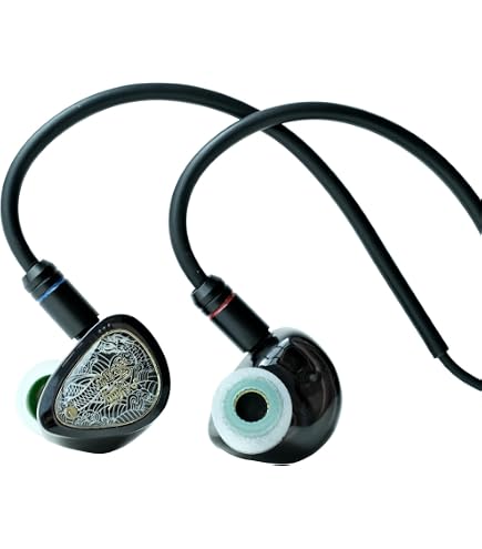 Amazon.co.jp: Linsoul TANGZU Wan'er S.G II インイヤーモニター HiFI