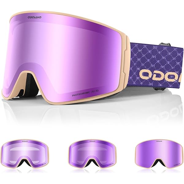 Amazon | [NAOTACK] スキー ゴーグル ミラー ダブルレンズ マグネット