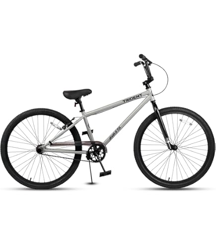 A*a様 BMX ブレーキ付き 166250326.jpg?cmsp_timestamp=