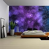 wall26 自己接着壁紙 大きな壁面絵画シリーズ 66"x96" WMR-WP-X-D641-66x24x4