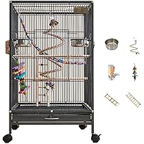 モル 鳥かご Amazon.co.jp: 【2023新版 クリアアクリル鳥かご 】 鳥かご