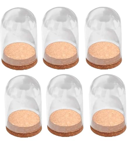 Amazon.co.jp: hobbyme クリアクローシュガラスドーム、ガラスベル型