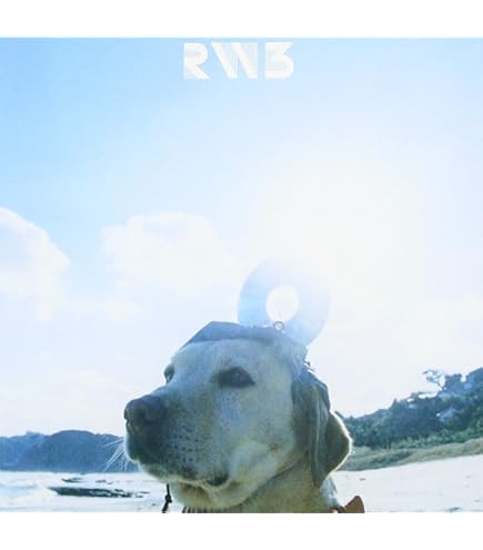 Amazon.co.jp: 【20th Anniversary Special Box盤】RADWIMPS 「あ