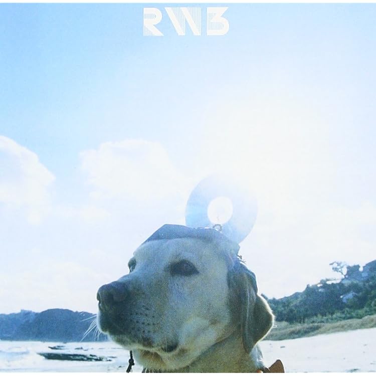 Amazon.co.jp: RADWIMPS4~おかずのごはん~: ミュージック