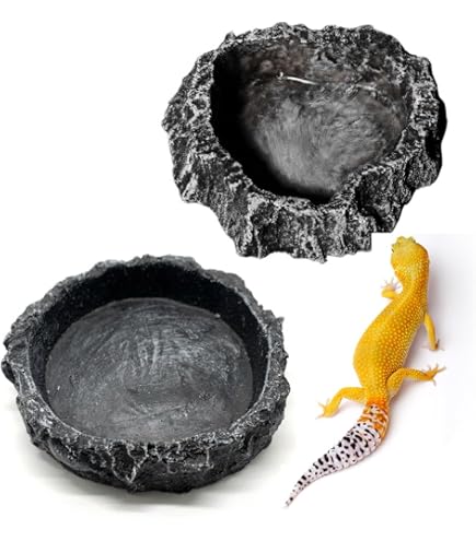 爬虫類用　ケージ、シェルター、ピンセット、餌皿6点セット 71HrmYyYO+L._AC_UL210_SR210,