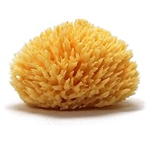 61QdJoftyGL._AC_UL210_SR210,