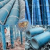 40 pcs/bag rare blue bamboo seeds, decorative garden, herb planter bambu tree seeds for diy home gar