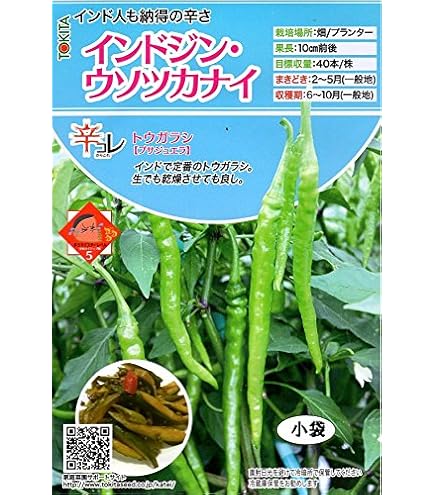 トウガラシ ビキーニョ イエロー種子 3g入り（約1000粒） Amazon.co.jp: とうがらし 種子 ビキーニョ 20粒 トウガラシ