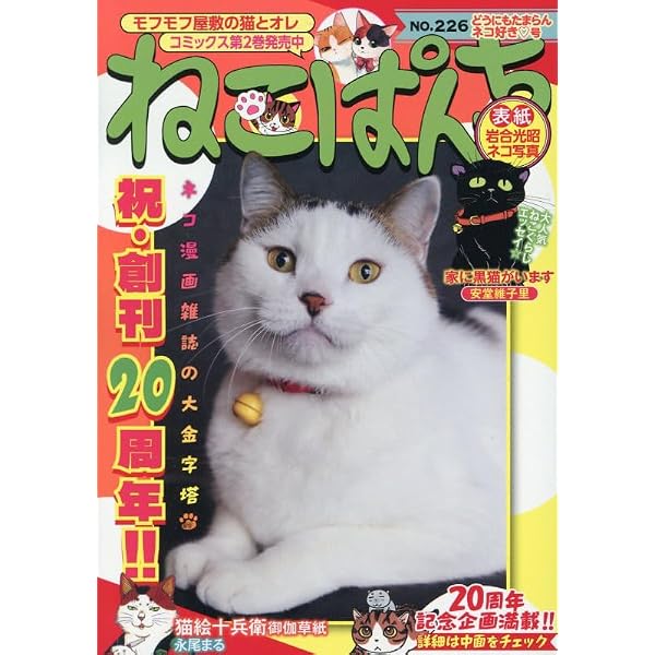 ねこぱんち 夏の花火と涼みネコ号 (にゃんCOMI) | アンソロジー |本
