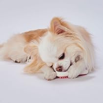 Amazon.co.jp: ペティオ (Petio) 犬用おもちゃ かんでるボーンデンタル