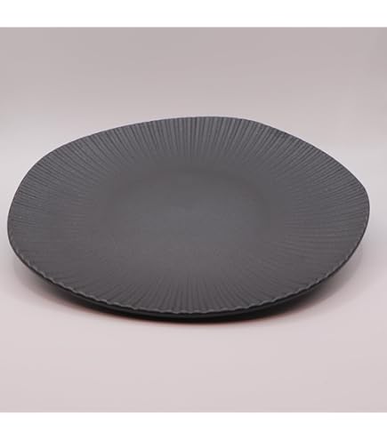 Amazon.co.jp: 【ware hendey】 デザイン皿24cm 割れない皿 日本製