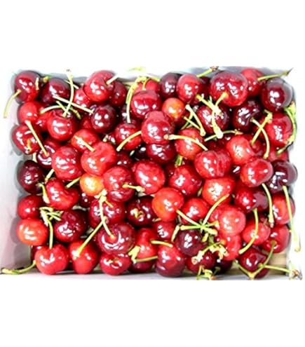 アメリカンチェリー　4kg越え アメリカンチェリー 4kg越え アメリカンチェリー 約1㎏ 大粒 (国産