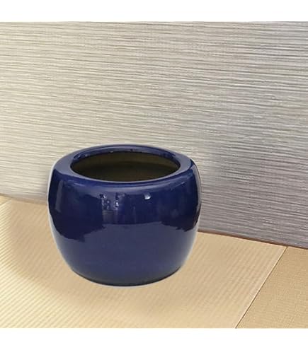 Amazon | 生子火鉢 10号 信楽焼 伝統の火鉢 生子 深みのある青 陶器 | 鉢
