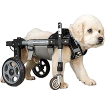 Amazon.co.jp: 犬用車椅子 犬用歩行器 ペット車椅子 4輪歩行補助