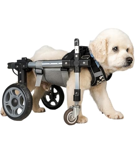 Amazon.co.jp: MIKEART 犬用車椅子 歩行器 車いす 4輪 歩行補助 ペット