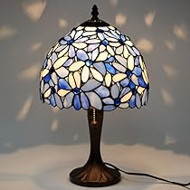 61QtLtoZUiL._AC_UL210_SR210,