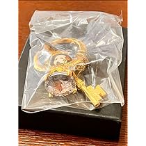 オペラ座の怪人 22年記念メダル チャーム付きキーホルダー まとめ売り 劇団四季 71kn2-61jeL._UF350,350_QL80_.jpg