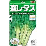 Amazon 種子 ザーサイ 1867 野菜