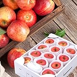 山形県産 りんご 高徳りんご 3kg (秀品/9玉～12玉入り/常温品) 旬 リンゴ 林檎 こうとく 山形 産地直送 果物 フルーツ お取り寄せ