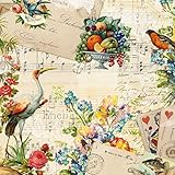 輸入壁紙/Memories/サイズ：368×254cm/8-943/Z3K