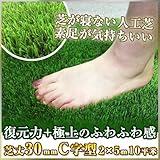 Liebe【リーベ】 人工芝 芝丈30mm 2m×5m 10平米　C字 復帰型＋やわらか　『パークシア・スーパープレミアム』