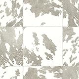York Wallcoverings ry2800 Risky Business 2 Hideawayリムーバブル壁紙、グレー/ホワイト