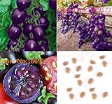 100 seeds Purple Cherry Tomatoes Seed Balcony Fruits Seed Vegetables Potted Bonsai Potted Plant Toma