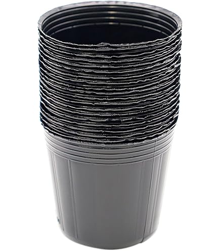 Amazon.co.jp: ポリポット 5cm 黒 100個 ビニールポット : DIY・工具