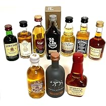 Amazon.co.jp: 輸入ウイスキー・ブランデー ミニチュアボトル 10本 