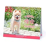 アートプリントジャパン 2019年 俊介(卓上) カレンダー vol.031 1000100968