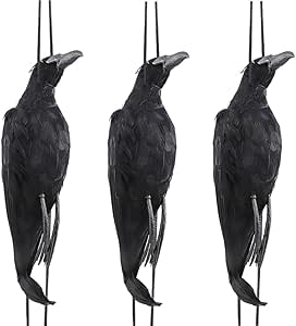 Amazon Co Jp Povkeever カラス ハロウィン装飾カラス 吊り下げ羽毛カラス カラスモデル 置物 カラスよけ 生き生き 雰囲気抜群 手作り いたずらグッズ 部屋 ハロウィン パーティー飾り 黒 三羽セット おもちゃ