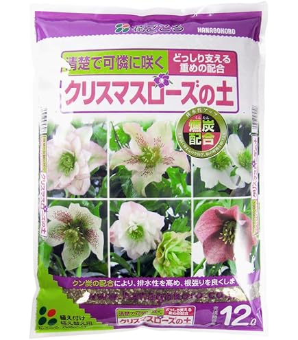 クリスマスローズ開花苗５ポットセット Amazon.co.jp: クリスマスローズ 苗 5色 アソートセット 7.5cm