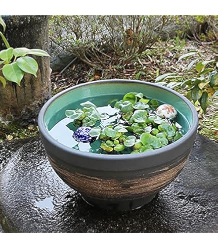 ガラス　水鉢・睡蓮鉢・メダカ鉢・花鉢　他　3点(写真掲載のお品) 楽天市場】睡蓮鉢 丸 丸型 透明 ガラス製 メダカ鉢 水槽 クリア