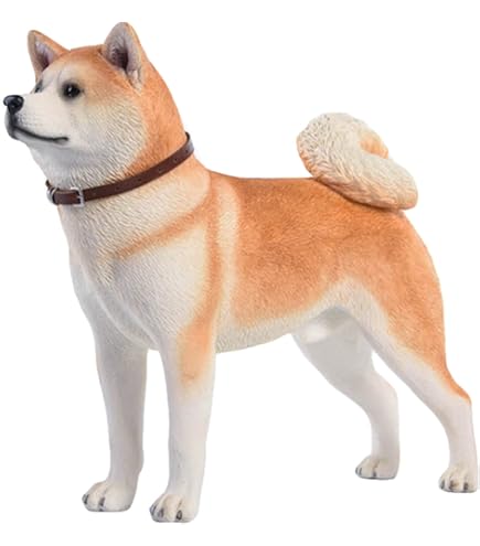 Amazon.co.jp: HiPlay JXK 1/6 秋田犬 JXK007B 動物 フィギュア